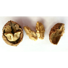 Suministro profesional nueces francesas altamente nutritivas para la venta